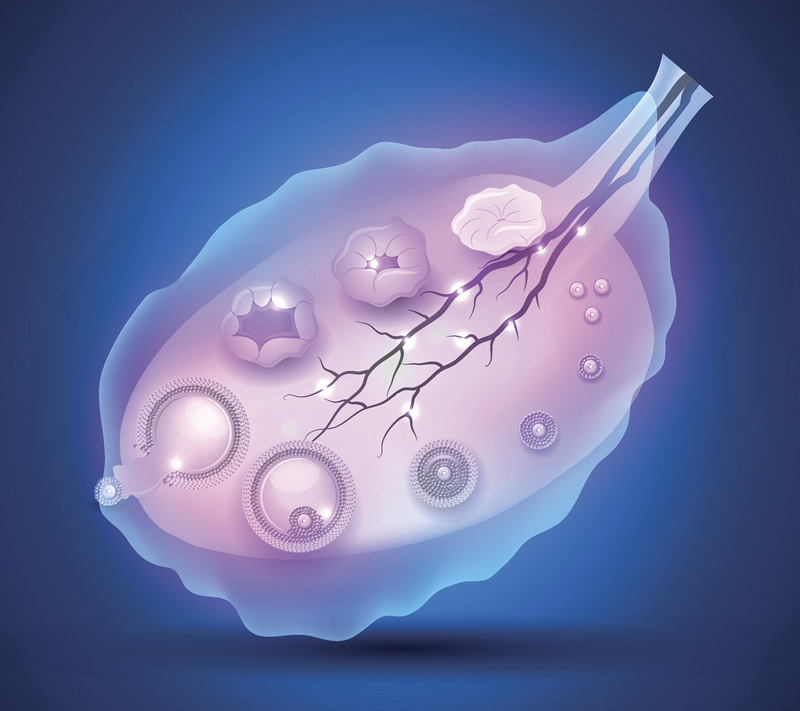 沈阳三代试管医院哪家强？附前十机构对比及龙凤胎费用、合法性深度解读